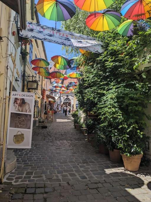 Close To Sziget Festival Apartment Budapest